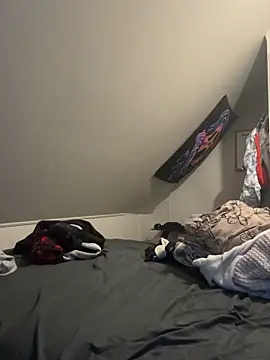 Sala de chat en directo de SeccySerena