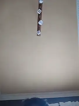 Chat ao vivo de prendio9999