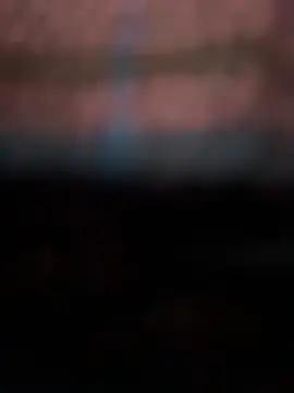 EvvaMur Live chatroom