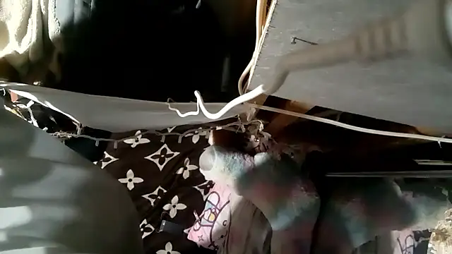 Bulbasaurisme Cameră chat live