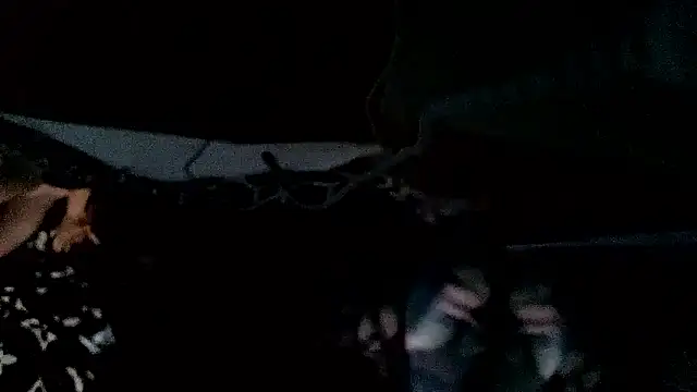 Bulbasaurisme 现场聊天室