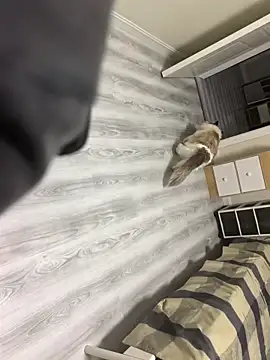 sgjs01dlx 现场聊天室
