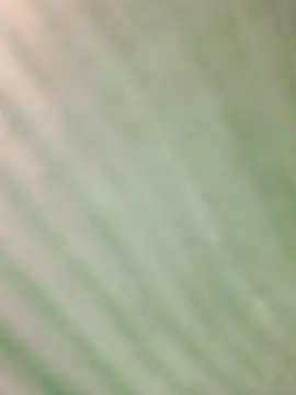 חדר צ'אט בשידור חי של ngocngoc_cute