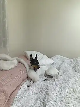 Živá chatovací místnost xjuanaxmaldadxxx