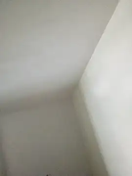 RandalHot Adlı Modelin Canlı Sohbet Odası