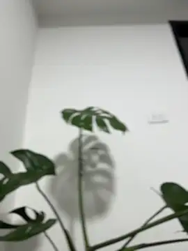JuanitaMore01 Cameră chat live