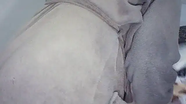 Živá chatovací místnost xxBoobieGal