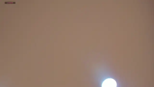 CharlotteBrownn_ লাইভ চ্যাট রুম