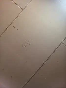 Babybigbutt Live Chatraum