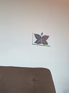 fire-vex Cameră chat live