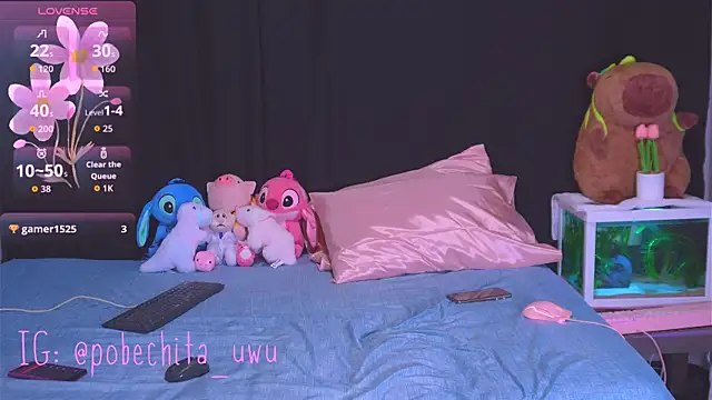 חדר צ'אט בשידור חי של Pobechita