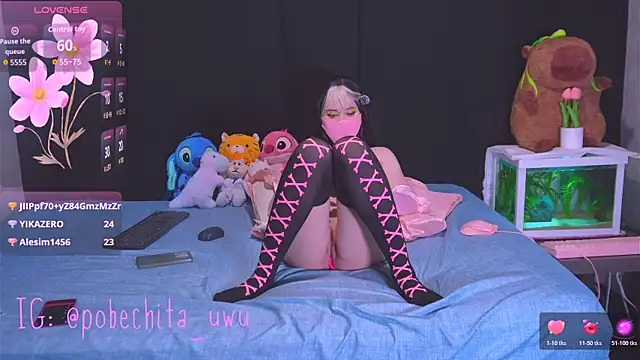Pobechita Cameră chat live