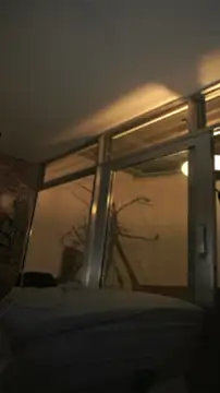 AlphaMasterXxx Live Chatraum