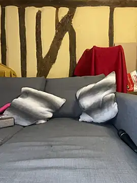 Toto-pika Adlı Modelin Canlı Sohbet Odası