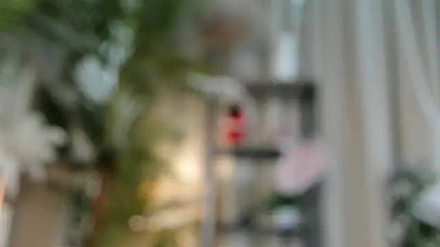ChinBonnell Cameră chat live