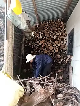 Lanlove_ Ruang Obrolan Langsung