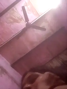 TINASONI Live Chatrum