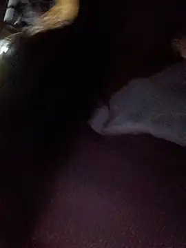 Maikute9696 Live Chatraum
