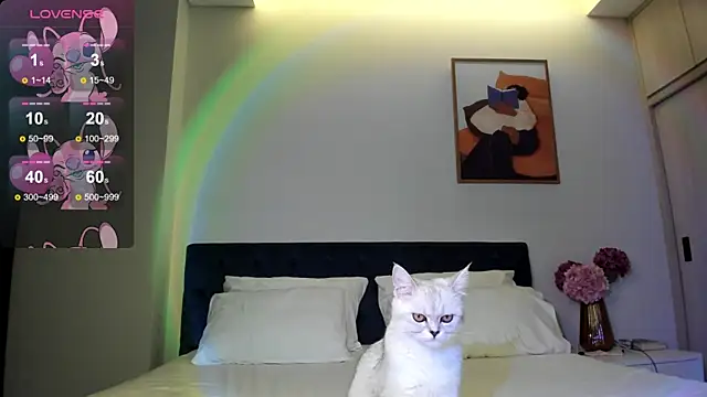DerryLove1 – live chatrum