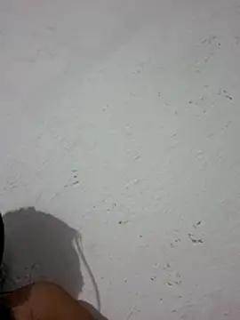 Sala de chat en directo de carol406