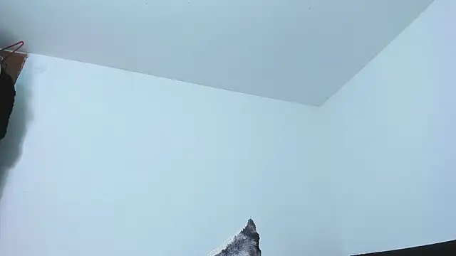 77Neferkitty77 чат на живо
