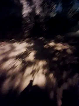 Chat ao vivo de shouko16