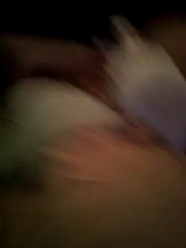DonVergusYLaReyna Cameră chat live
