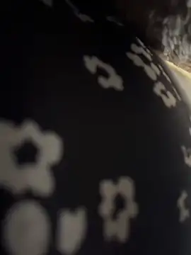 VendiMur Cameră chat live