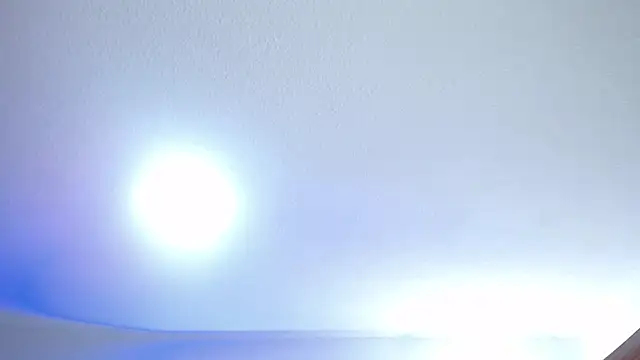 _Charlotte_Collins_ 실시간 채 팅방