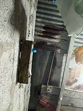 SaraBust Live Chatraum