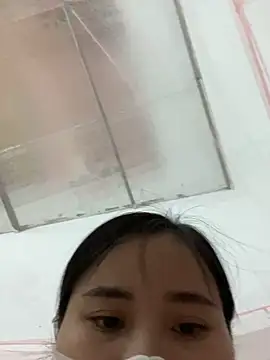 Zinsetka 실시간 채팅방