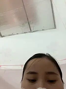 Zinsetka 실시간 채팅방