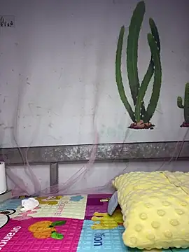 Živá chatovací místnost Zinsetka