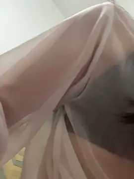 Tianxin6 실시간 채팅방