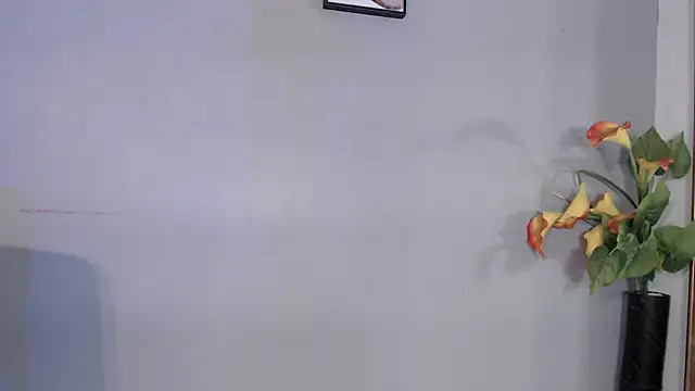 SophieW1 Live Chatraum