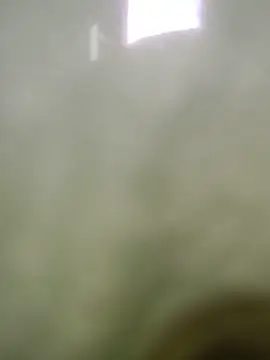 Hot_soniya_xeci 실시간 채팅방