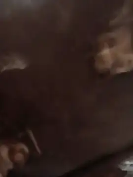 Živá chatovací místnost NextGenModel