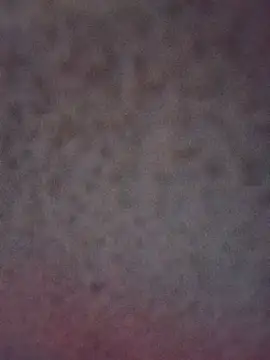 Chat ao vivo de _tetas_92