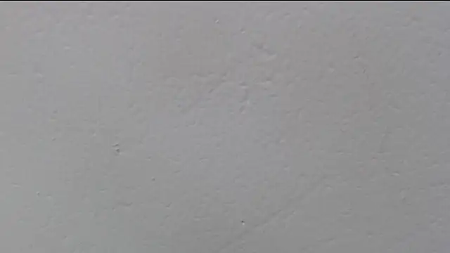 skinnysofia18 Live Chatraum