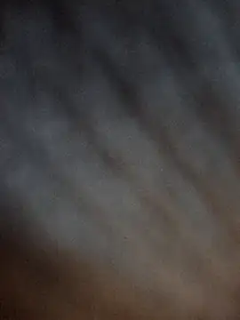 Chat ao vivo de danilyns