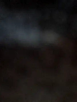 danilyns Cameră chat live