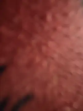 HOT_ISLAND লাইভ চ্যাট রুম