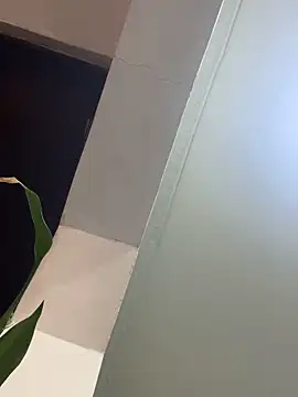 XBODTRIIPX 실시간 채팅방