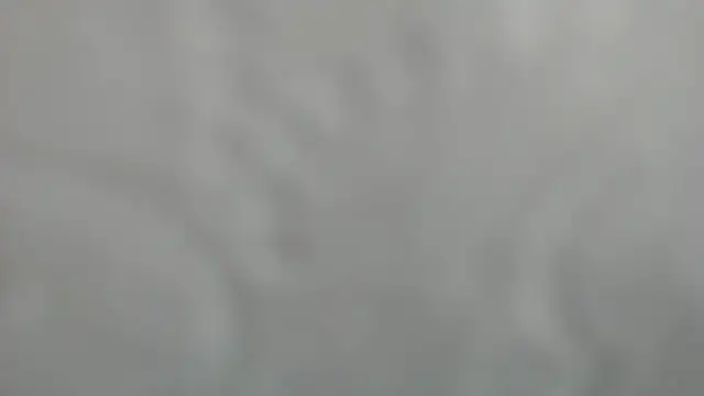 amijacobs Live Chatraum
