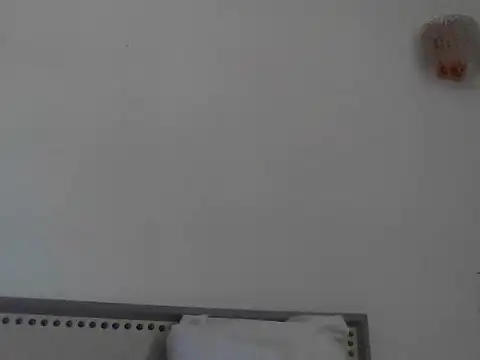 busnfatnutsLildee 실시간 채팅방