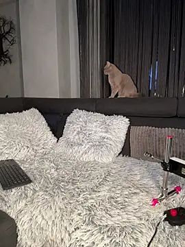 Živá chatovací místnost Andrestarr