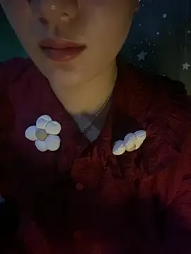Linksys_nicee Cameră chat live