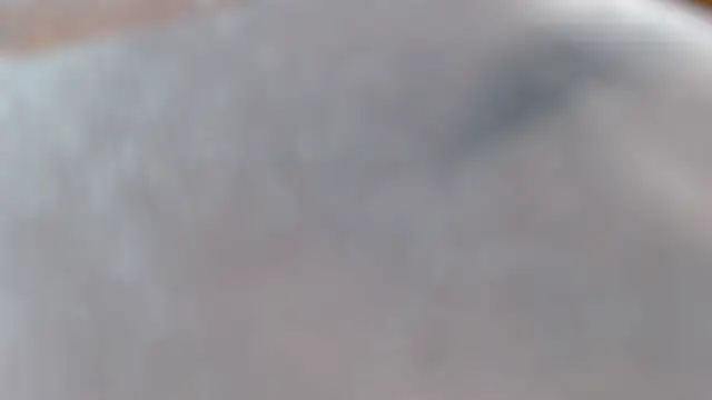 Sasharosee2 실시간 채팅방