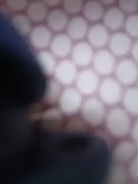 Jeya_thakur чат на живо