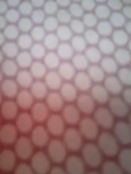 Chat ao vivo de Jeya_thakur
